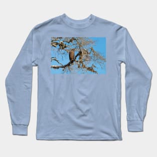 Crested Serpent eagle sitting on tree, Sri Lanka Long Sleeve T-Shirt